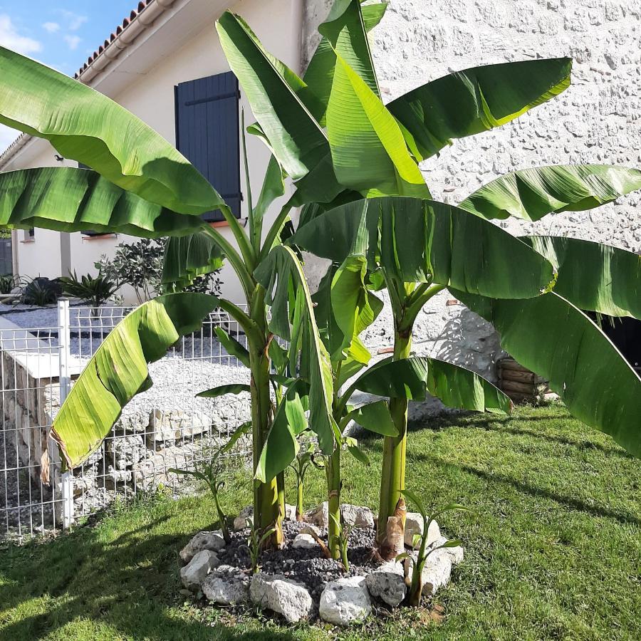 Вилла Le Domaine Vesque Saint-Pierre-de-Clairac Экстерьер фото