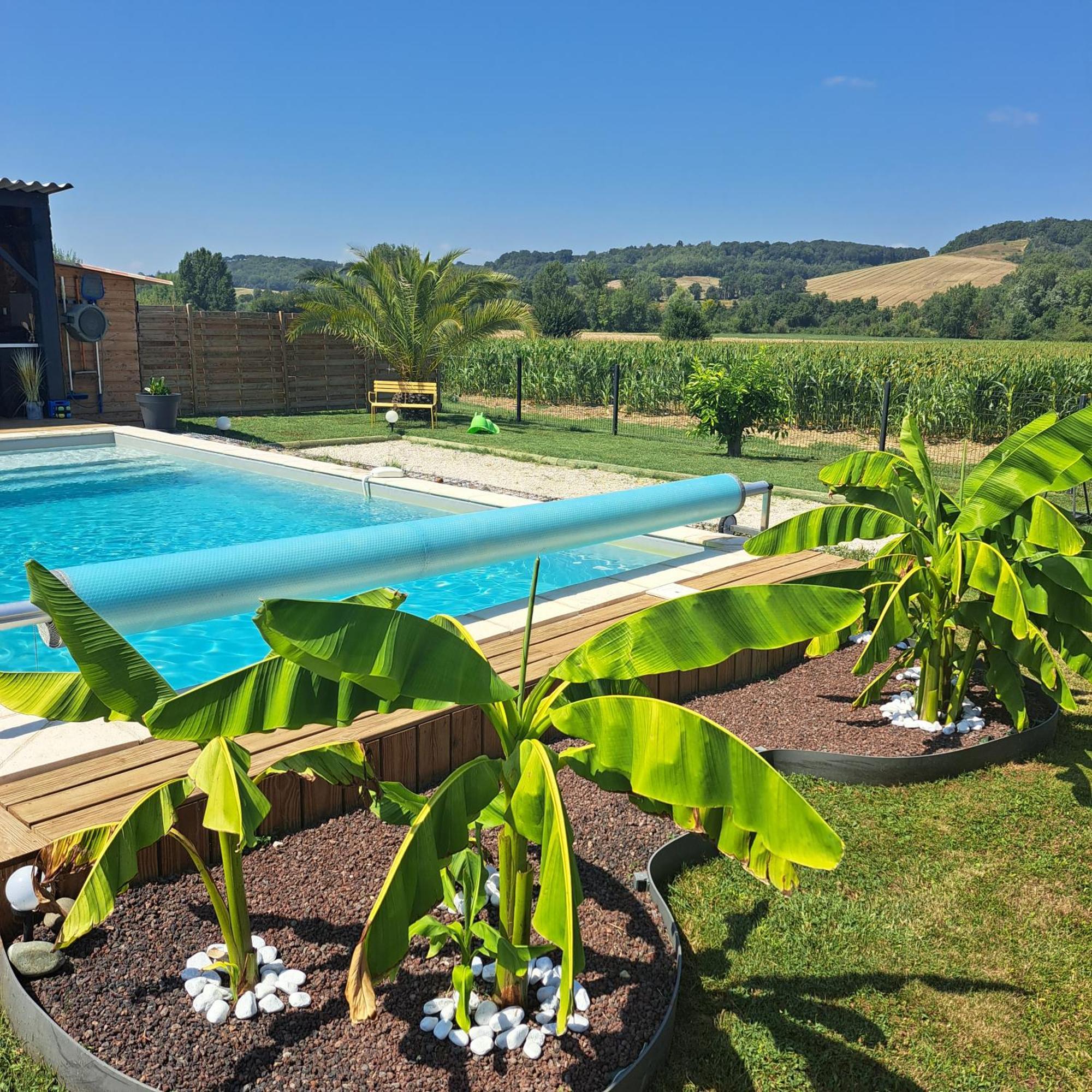 Вилла Le Domaine Vesque Saint-Pierre-de-Clairac Экстерьер фото