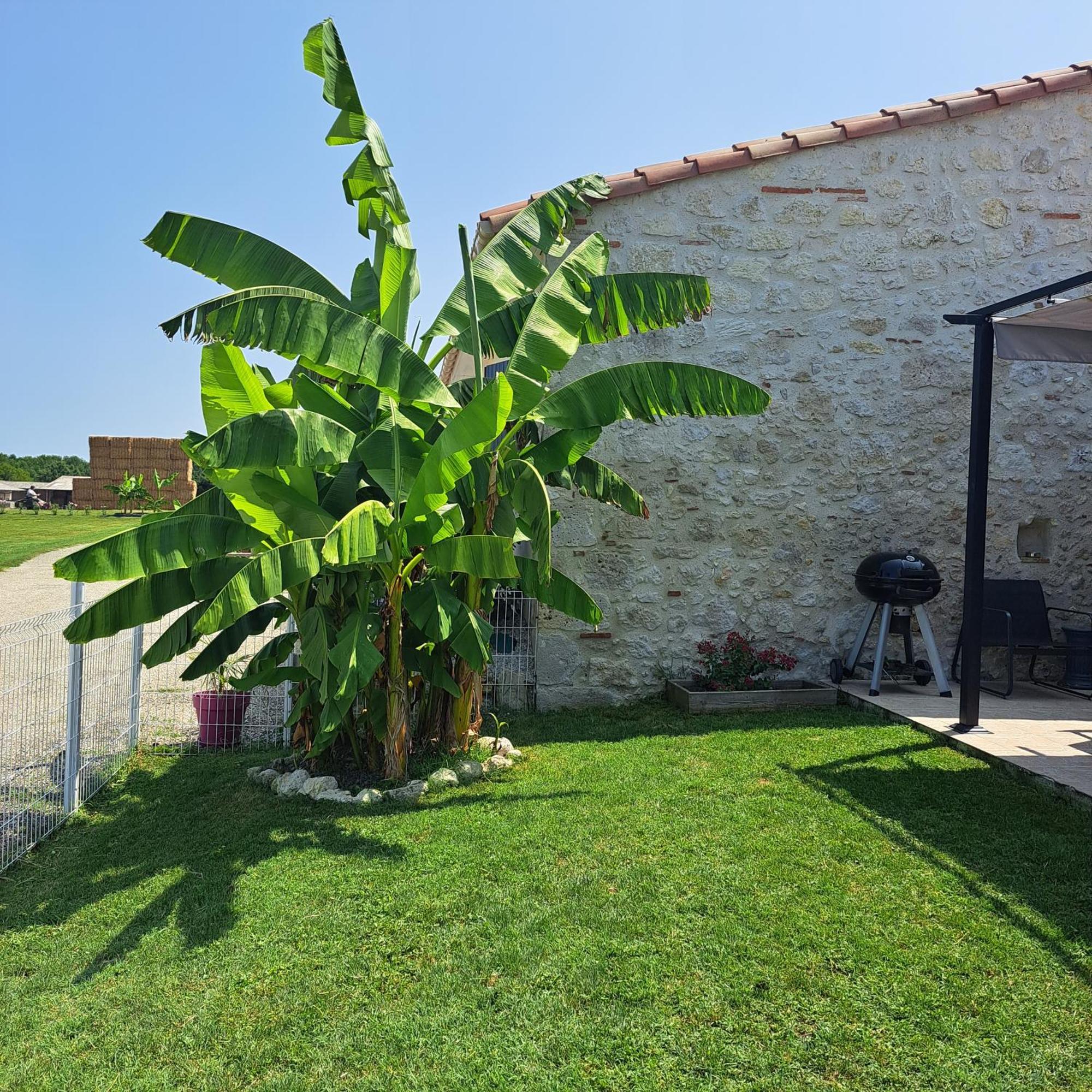 Вилла Le Domaine Vesque Saint-Pierre-de-Clairac Экстерьер фото